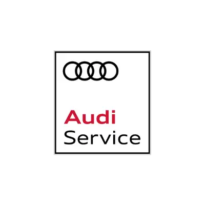Tagliando AUDI Tagliando AUDI